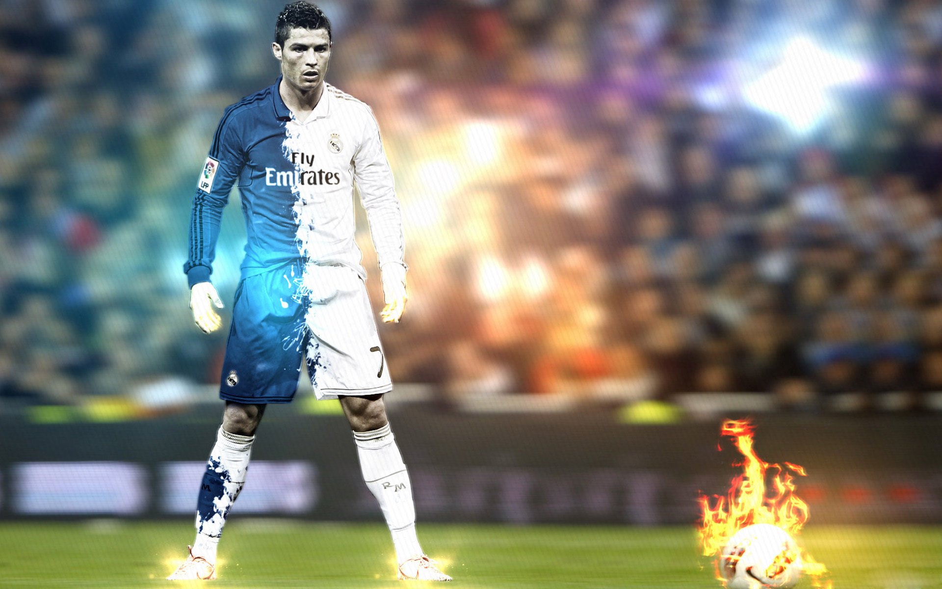 “冠军荣耀:感人瞬间永载史册”,冠军的荣耀